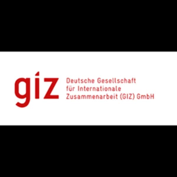 logo_giz